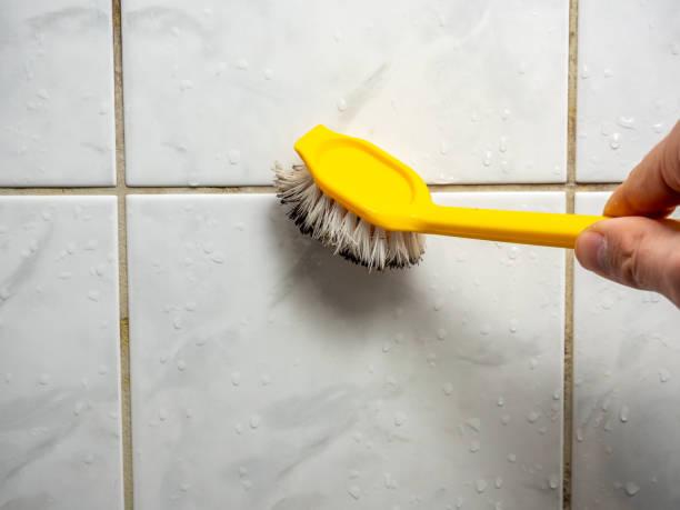 Best Home Mold Removal  in Spring City, UT