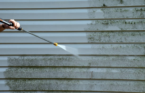 Certified Mold Removal in Spring City, UT