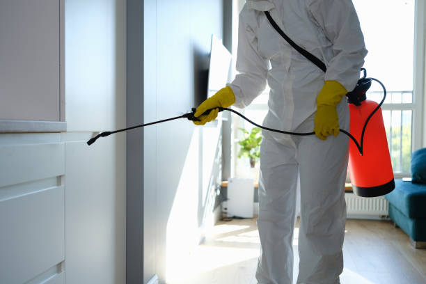 Best Certified Mold Removal  in Spring City, UT