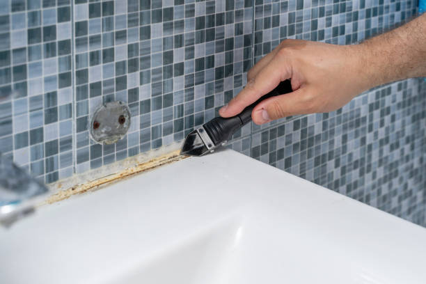 Best Residential Mold Removal  in Spring City, UT